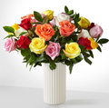 Mixed Roses